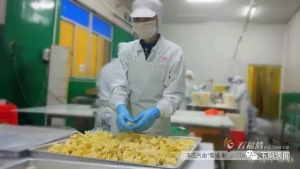 念其善 賣“不起眼”的水果，年銷近2億元的食品銷售傳奇